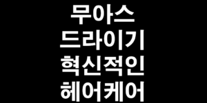 무아스드라이기