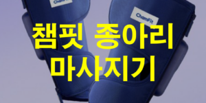 챔핏종아리마사지기