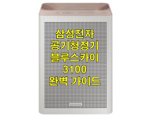 블루스카이3100