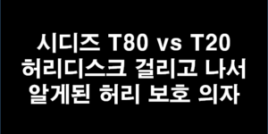 시디즈 T80 T20 비교